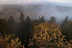 Waldstein - Zum Vergroessern klicken!